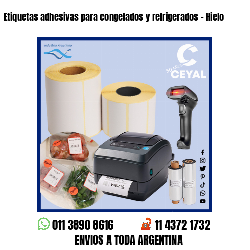 Etiquetas adhesivas para congelados y refrigerados – Hielo