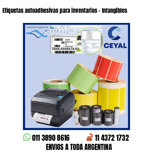 Etiquetas autoadhesivas para inventarios – Intangibles