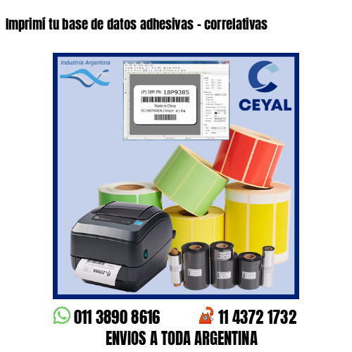 Imprimí tu base de datos adhesivas – correlativas