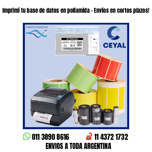 Imprimí tu base de datos en poliamida – Envíos en cortos plazos!