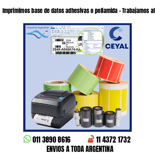Imprimimos base de datos adhesivas o poliamida – Trabajamos al por menor y mayor