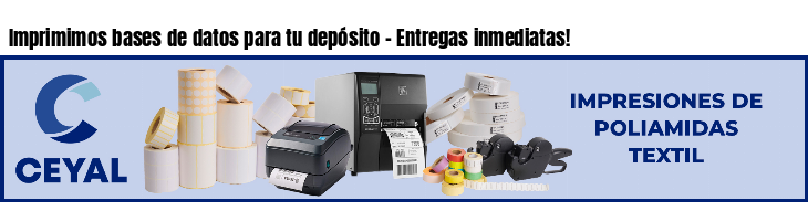 Imprimimos bases de datos para tu depósito - Entregas inmediatas!
