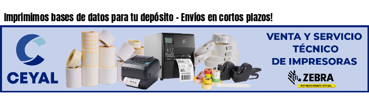 Imprimimos bases de datos para tu depósito - Envíos en cortos plazos!