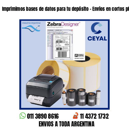 Imprimimos bases de datos para tu depósito – Envíos en cortos plazos!