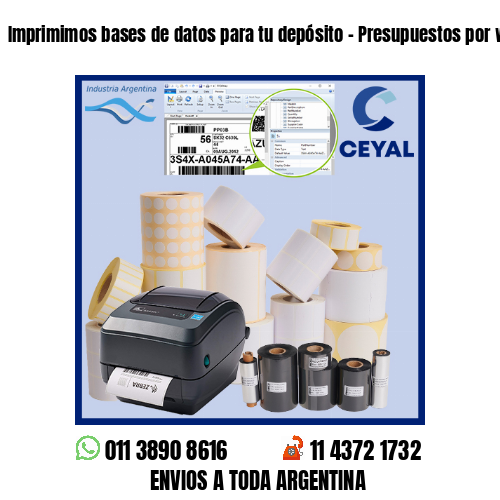 Imprimimos bases de datos para tu depósito – Presupuestos por whatsapp!