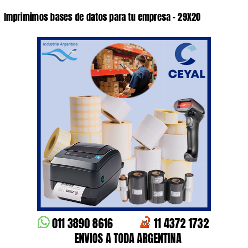 Imprimimos bases de datos para tu empresa – 29X20