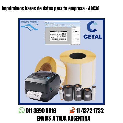 Imprimimos bases de datos para tu empresa – 40X30