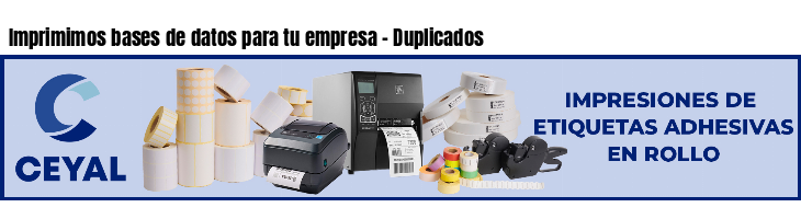 Imprimimos bases de datos para tu empresa - Duplicados