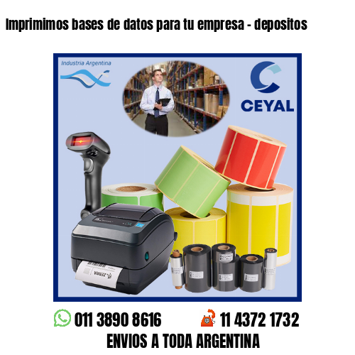 Imprimimos bases de datos para tu empresa – depositos