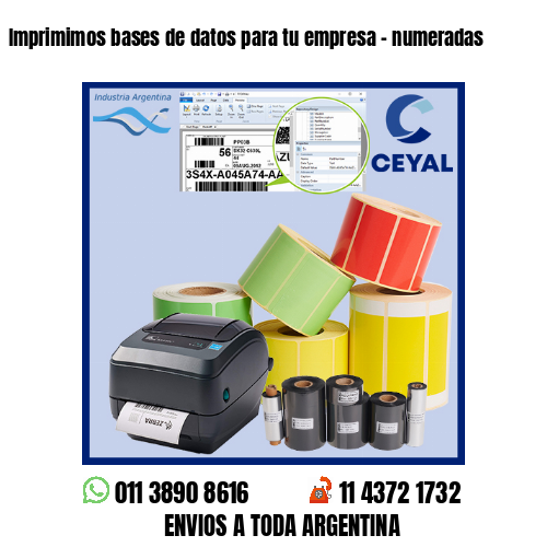 Imprimimos bases de datos para tu empresa – numeradas