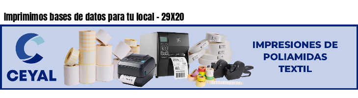 Imprimimos bases de datos para tu local - 29X20