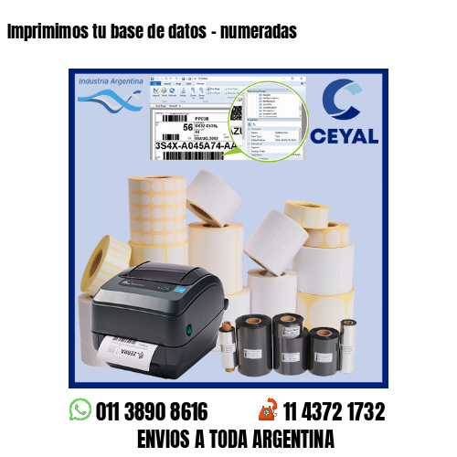Imprimimos tu base de datos – numeradas