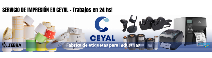 SERVICIO DE IMPRESIÓN EN CEYAL - Trabajos en 24 hs!