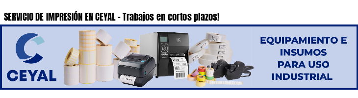 SERVICIO DE IMPRESIÓN EN CEYAL - Trabajos en cortos plazos!