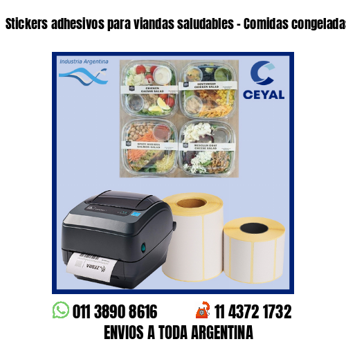 Stickers adhesivos para viandas saludables – Comidas congeladas