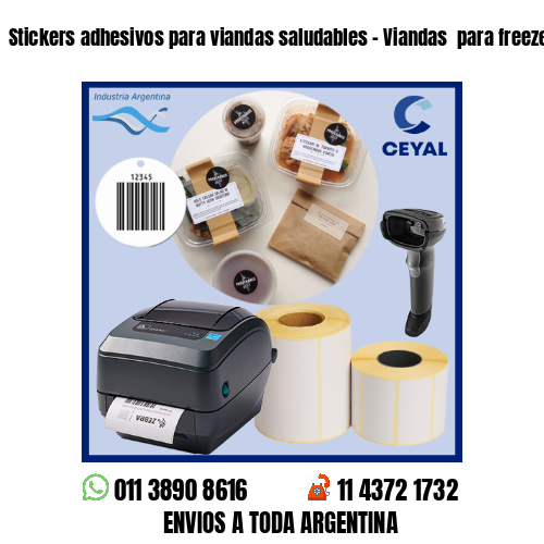 Stickers adhesivos para viandas saludables – Viandas  para freezer