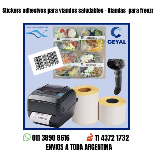 Stickers adhesivos para viandas saludables – Viandas  para freezer