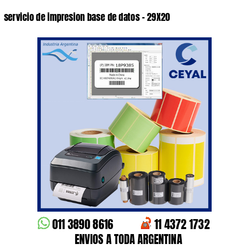 servicio de impresion base de datos – 29X20