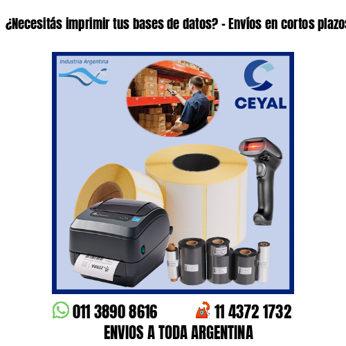 ¿Necesitás imprimir tus bases de datos? – Envíos en cortos plazos!