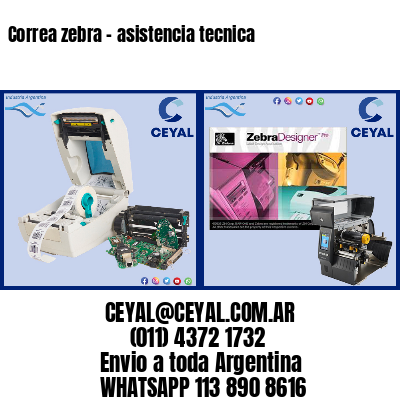 Correa zebra – asistencia tecnica