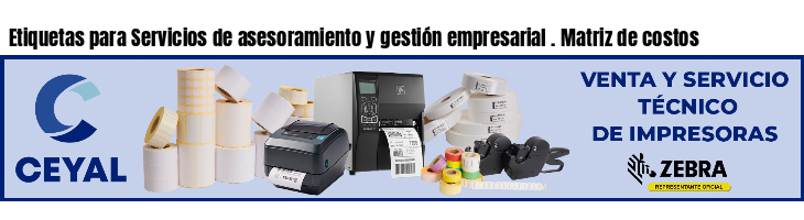 Etiquetas para Servicios de asesoramiento y gestión empresarial . Matriz de costos
