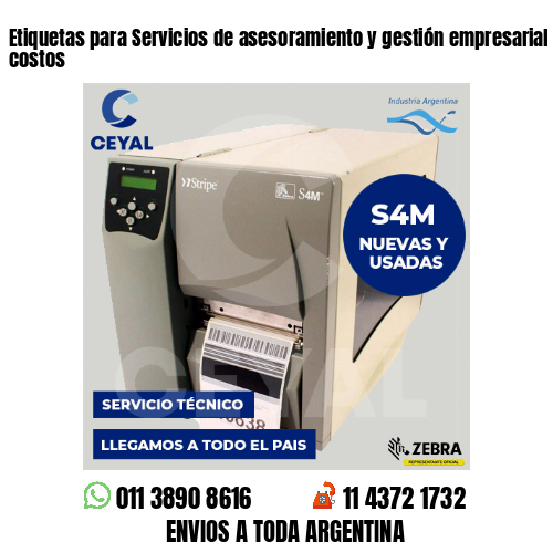 Etiquetas para Servicios de asesoramiento y gestión empresarial . Matriz de costos