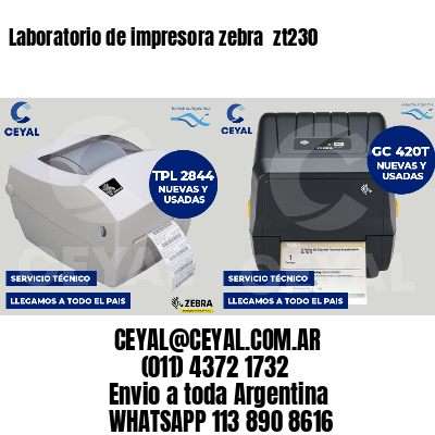 Laboratorio de impresora zebra  zt230