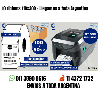 10 ribbons 110x300 - Llegamos a toda Argentina
