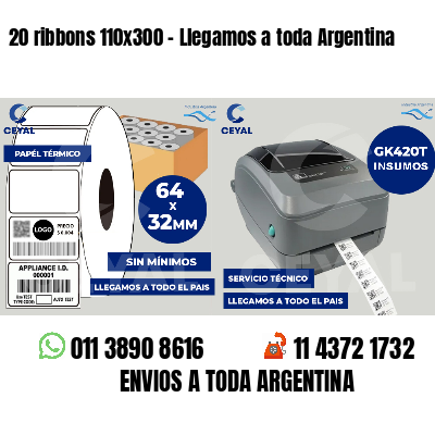 20 ribbons 110x300 - Llegamos a toda Argentina
