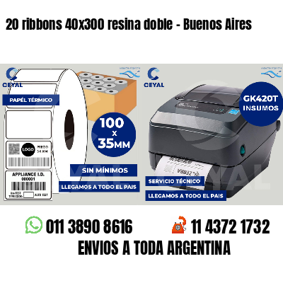 20 ribbons 40x300 resina doble - Buenos Aires