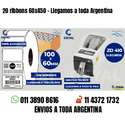 20 ribbons 60x450 - Llegamos a toda Argentina