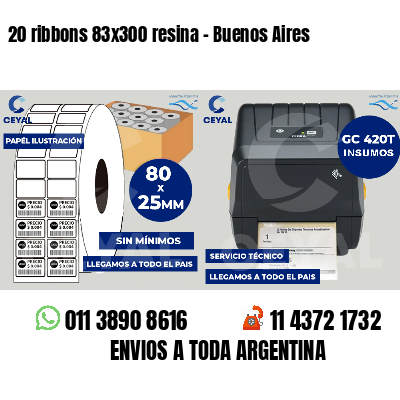 20 ribbons 83x300 resina - Buenos Aires