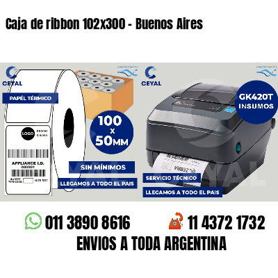 Caja de ribbon 102x300 - Buenos Aires