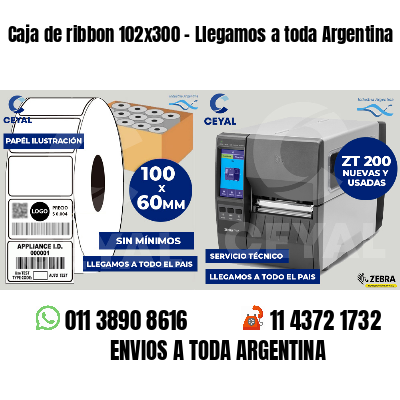 Caja de ribbon 102x300 - Llegamos a toda Argentina