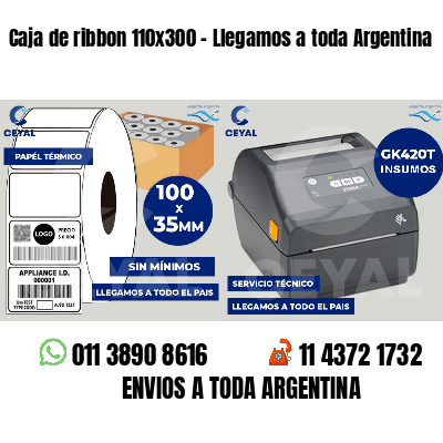 Caja de ribbon 110x300 - Llegamos a toda Argentina