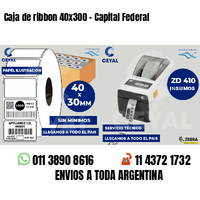 Caja de ribbon 40x300 - Capital Federal