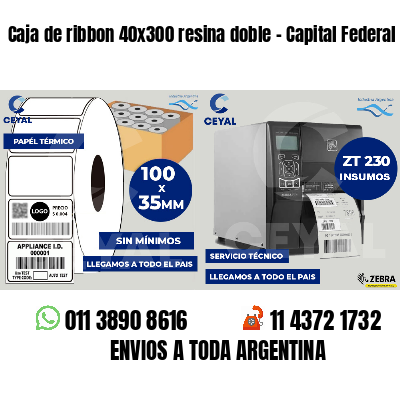 Caja de ribbon 40x300 resina doble - Capital Federal