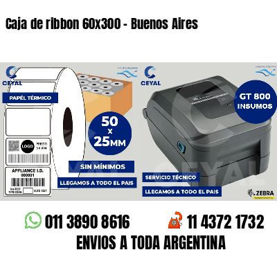 Caja de ribbon 60x300 - Buenos Aires