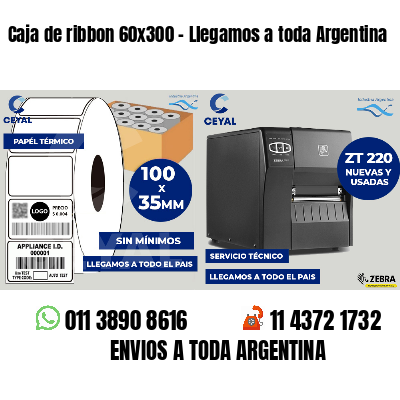 Caja de ribbon 60x300 - Llegamos a toda Argentina