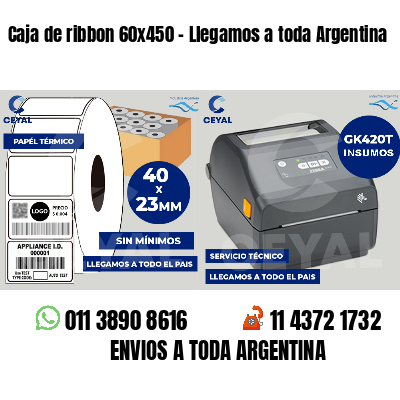 Caja de ribbon 60x450 - Llegamos a toda Argentina