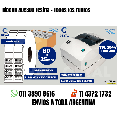 Ribbon 40x300 resina - Todos los rubros