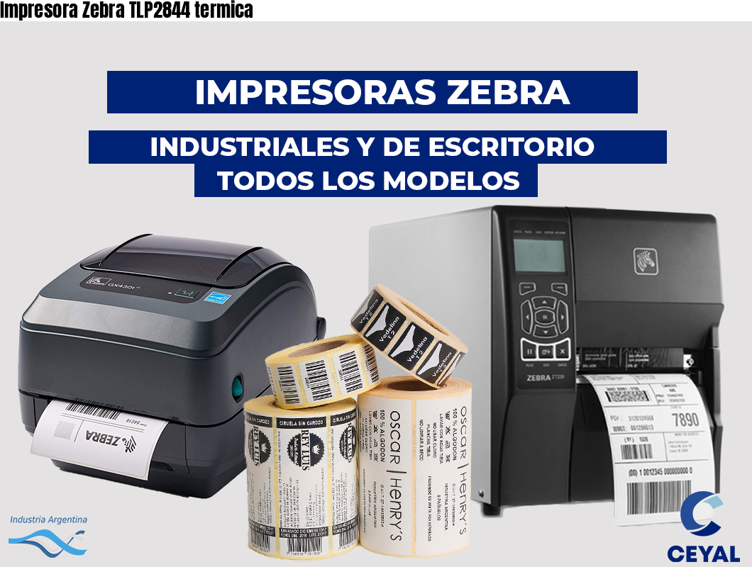 Impresora Zebra TLP2844 termica