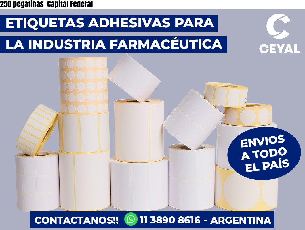 250 pegatinas  Capital Federal
