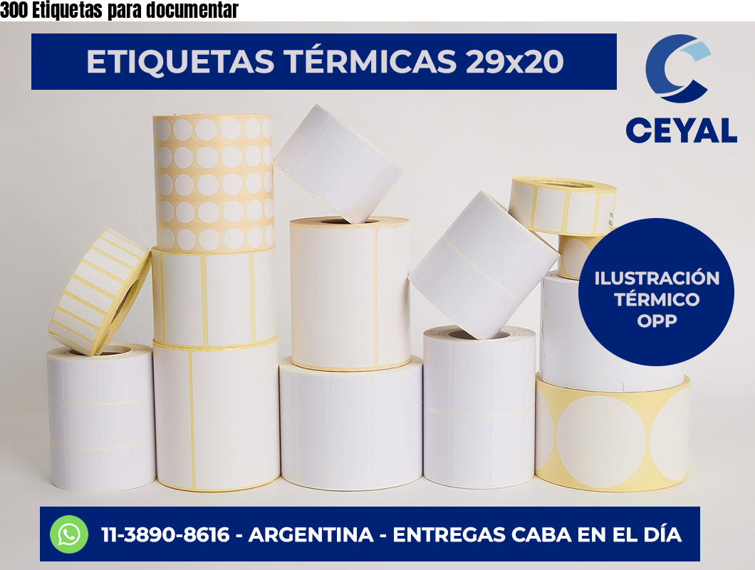 300 Etiquetas para documentar
