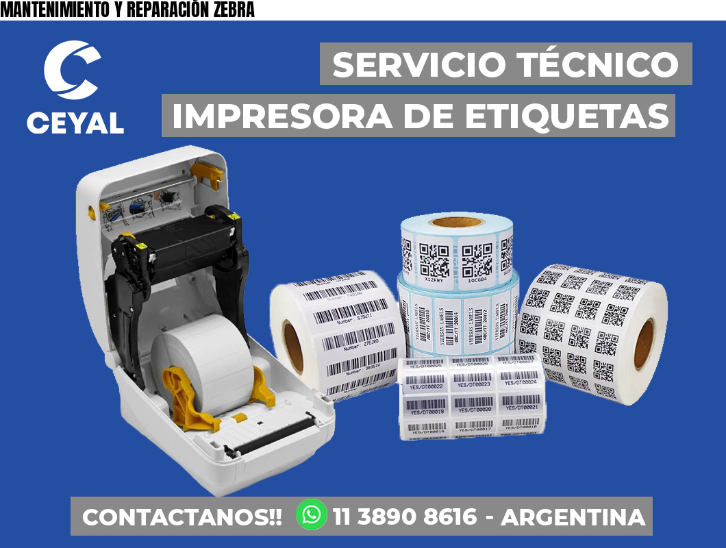 MANTENIMIENTO Y REPARACIÓN ZEBRA