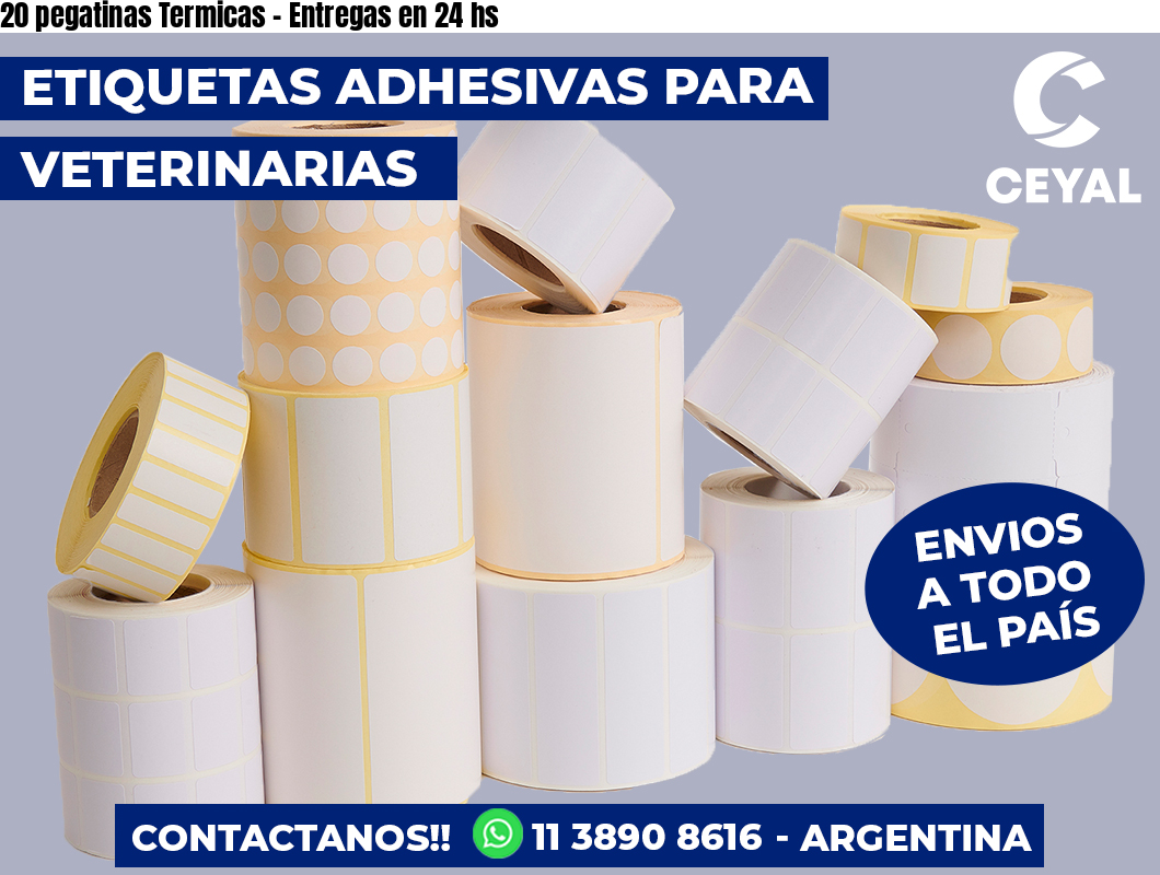20 pegatinas Termicas - Entregas en 24 hs