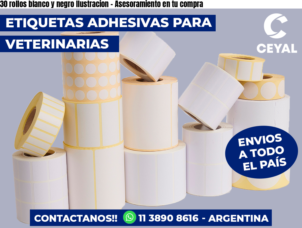 30 rollos blanco y negro Ilustracion - Asesoramiento en tu compra