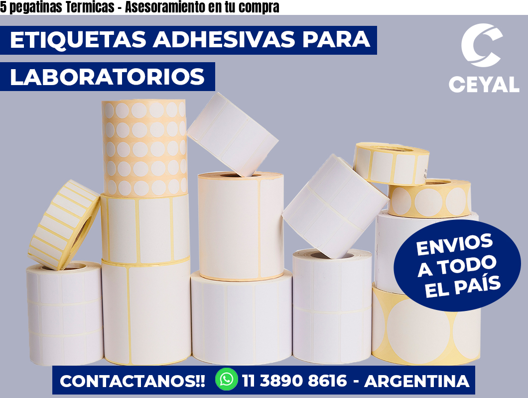 5 pegatinas Termicas - Asesoramiento en tu compra