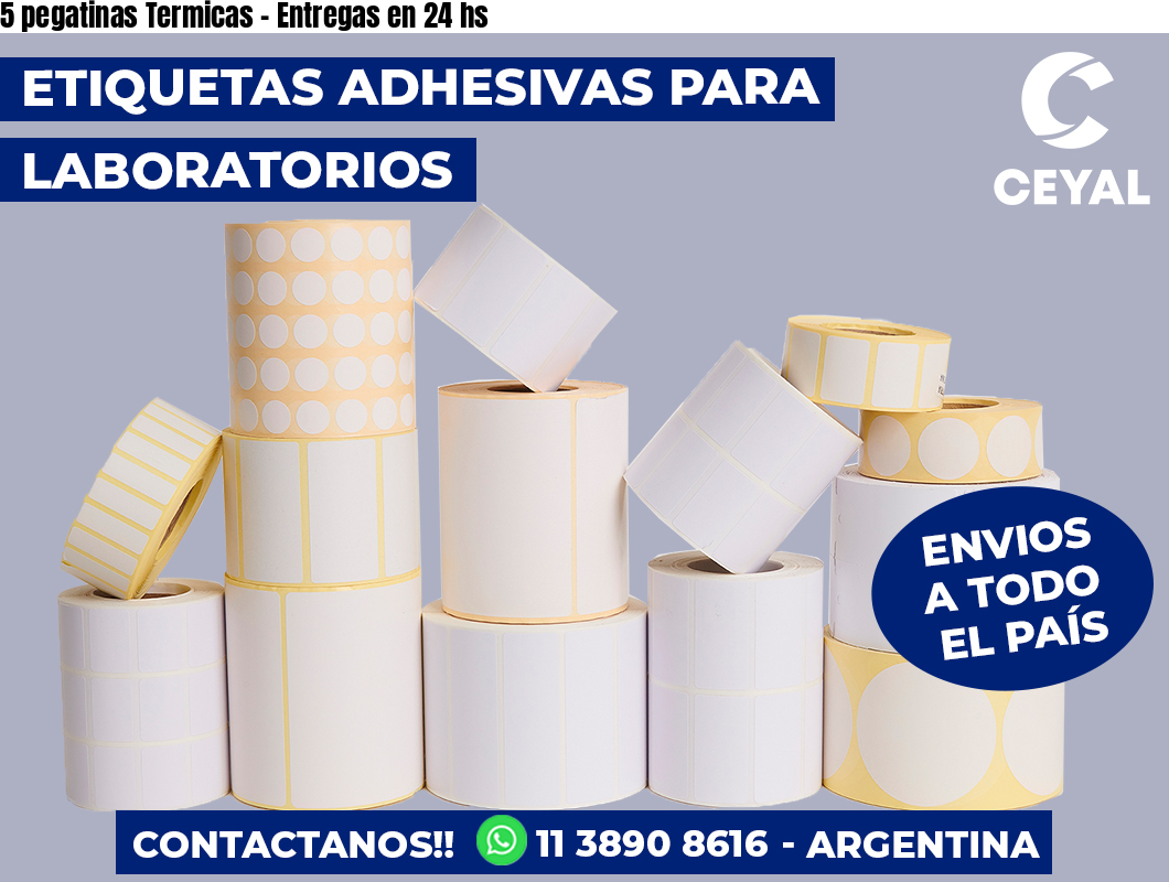 5 pegatinas Termicas - Entregas en 24 hs