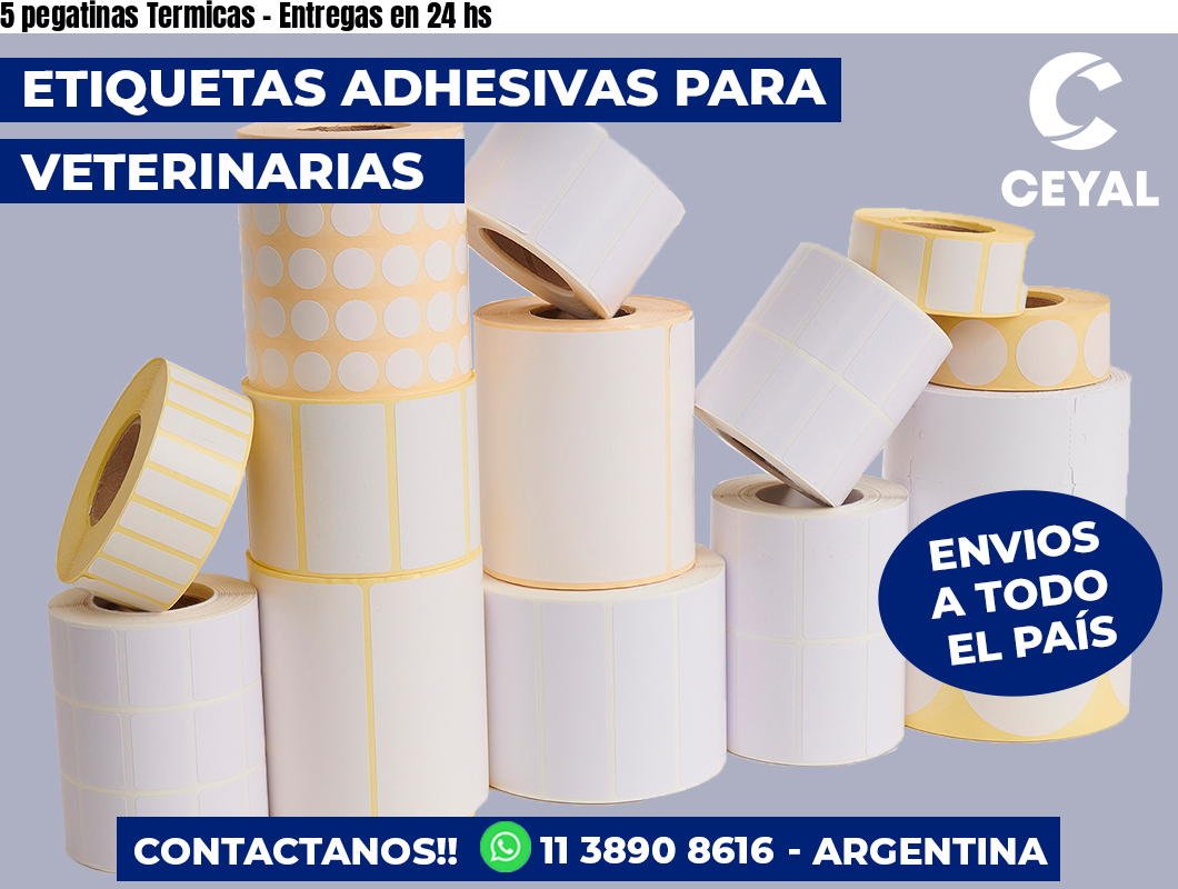 5 pegatinas Termicas – Entregas en 24 hs